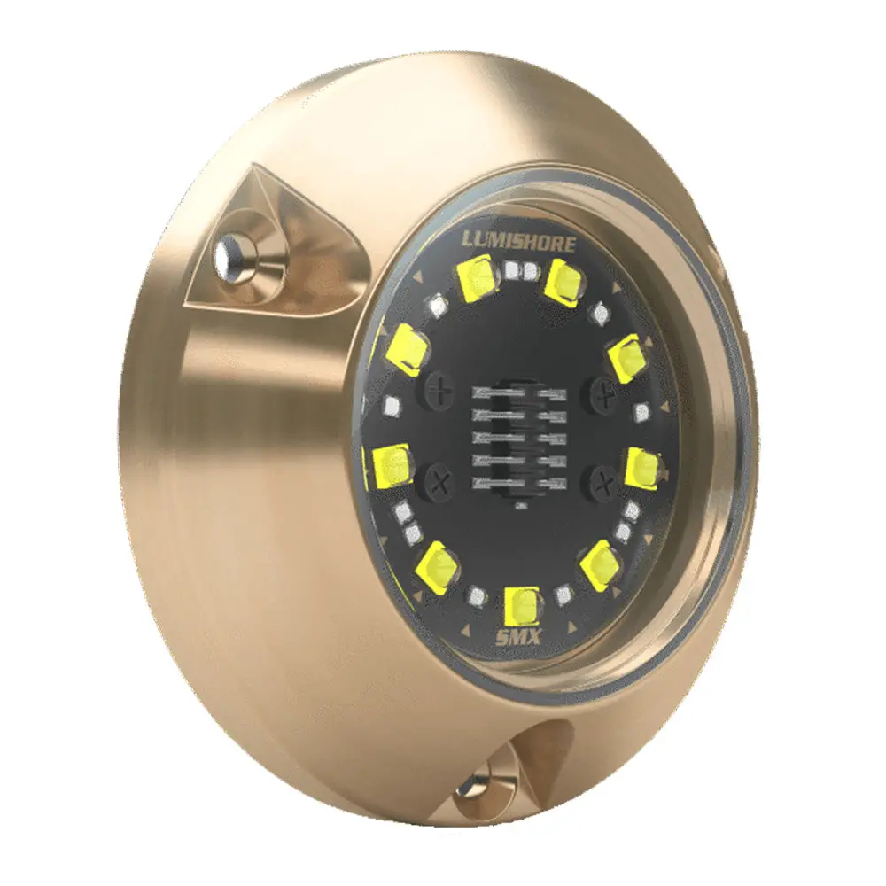 Lumishore 010-04504-00 Eclipse Smx24 Single Light Surface Mount Underwater Light, Blue/White 2