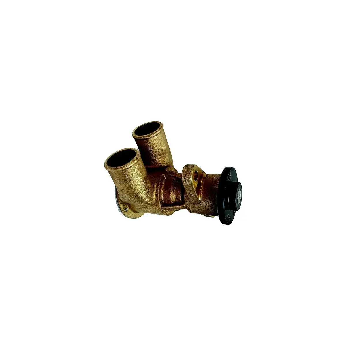 Johnson Pump 10-13614-02 F6b-19 Flexible Impeller Pump 1