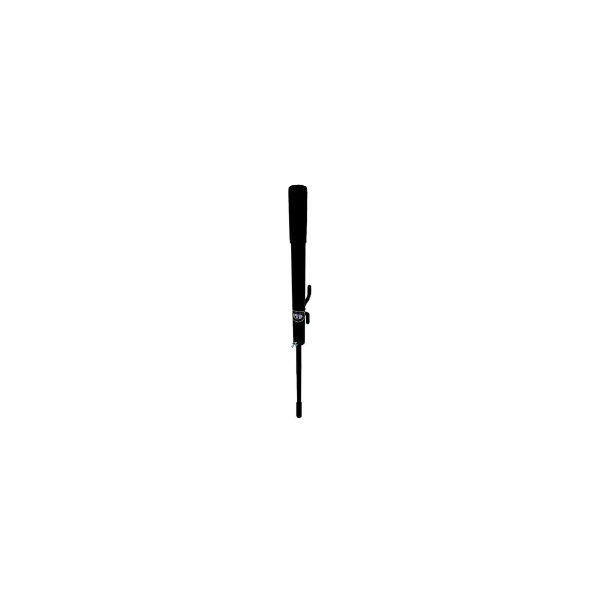 Greenfield Products 3028 Beach Spike Anchor Powder Coated Black 1
