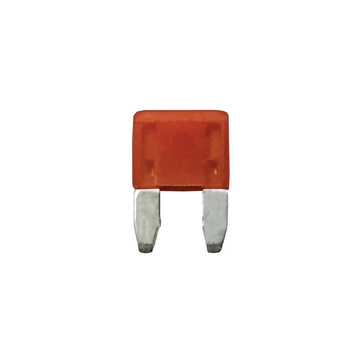 Wirthco 24110 Battery Doctor Minblade Fuses, 10A, 5/Pk 1