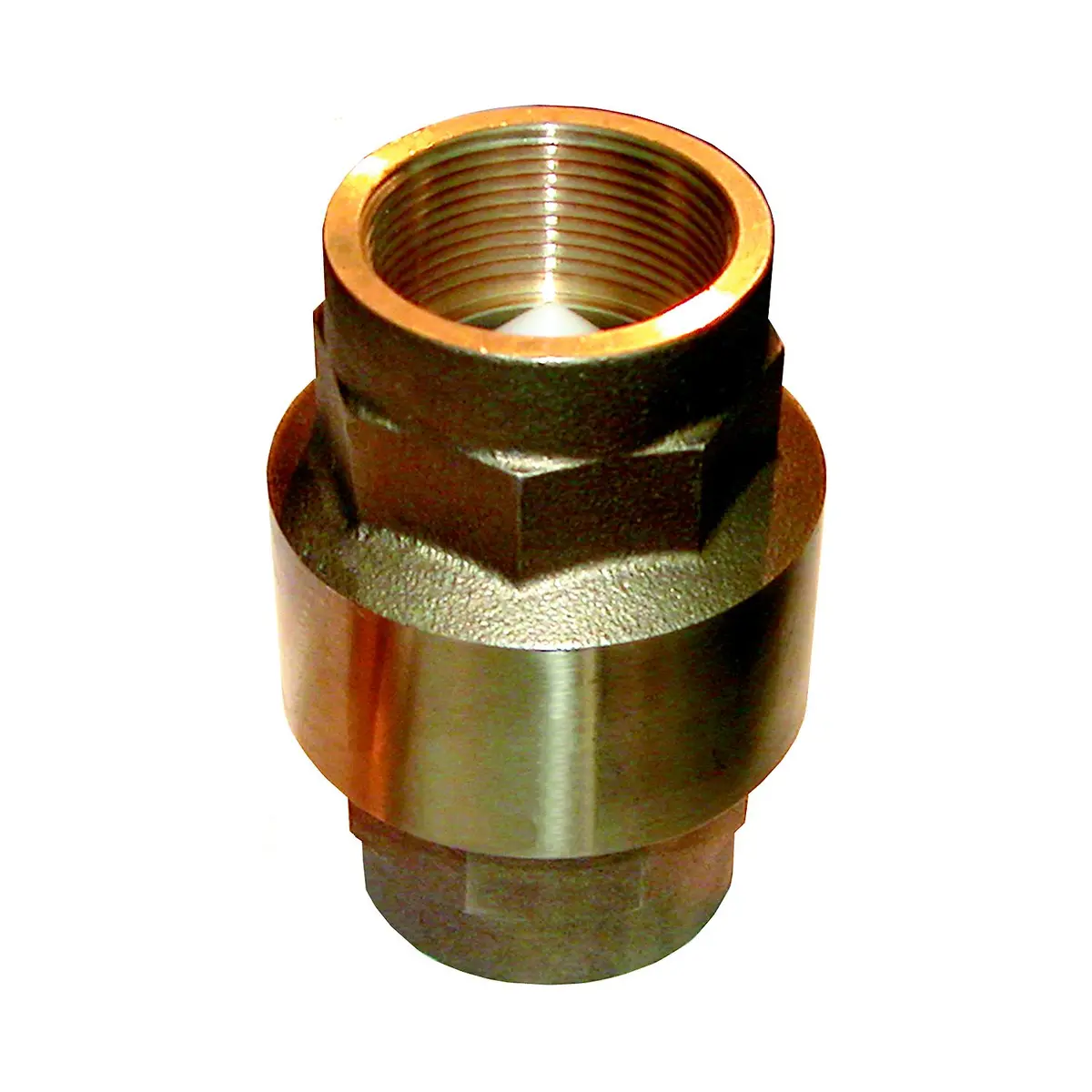Groco Cv-200 Cv Bronze In-Line Check Valve 1