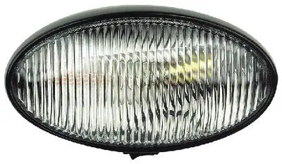 Fultyme Rv 590-1125 Fultyme Rv Oval Porch/Utility Light W/Switch, Clear/ Black Housing 2
