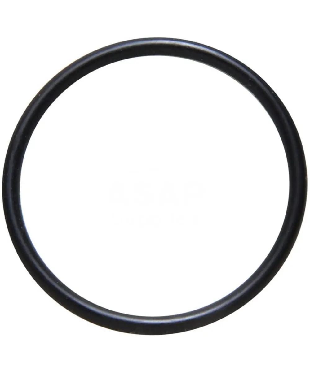 Sherwood 11805 Gasket, Sea Strainer 1