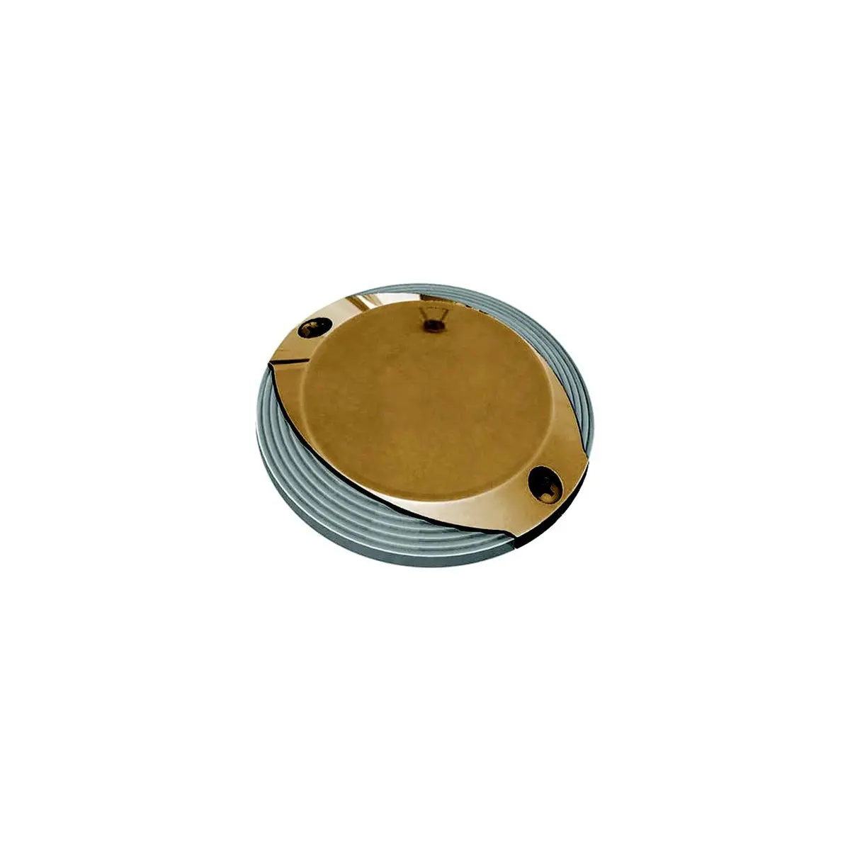 Lumitec 101628 Scallop Pathway Light, 4", Spectrum Rgbw-Cool White W/Bronze Bezel 1