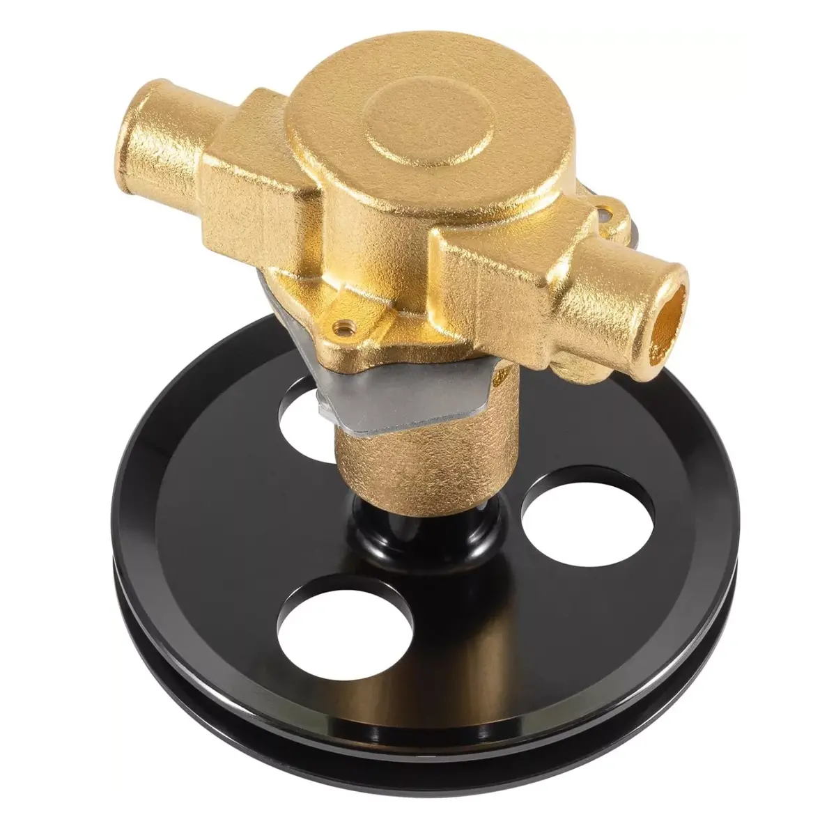 Emp 46-13256 Pump Sea Water 1