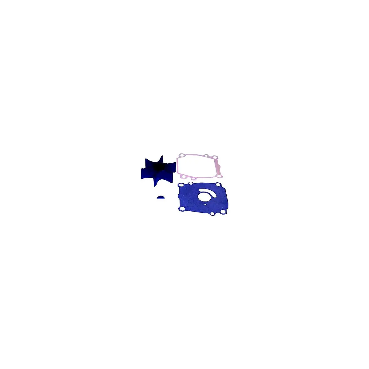 Sierra 18-3254 Water Pump Kit W/O Housing 1