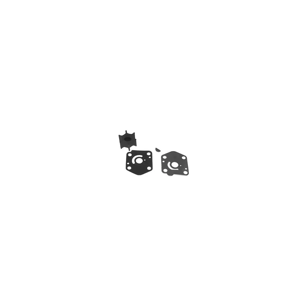 Sierra 18-3256 Water Pump Kit W/O Housing 1