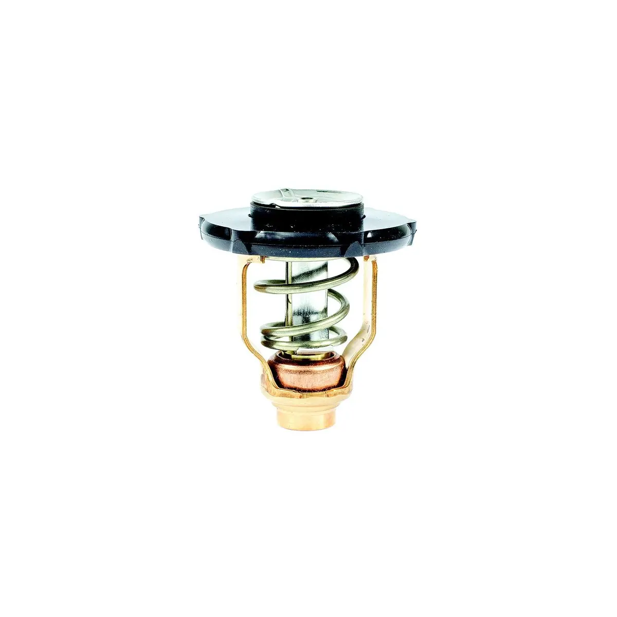 Sierra 18-3641 Yamaha Thermostat Kit 1