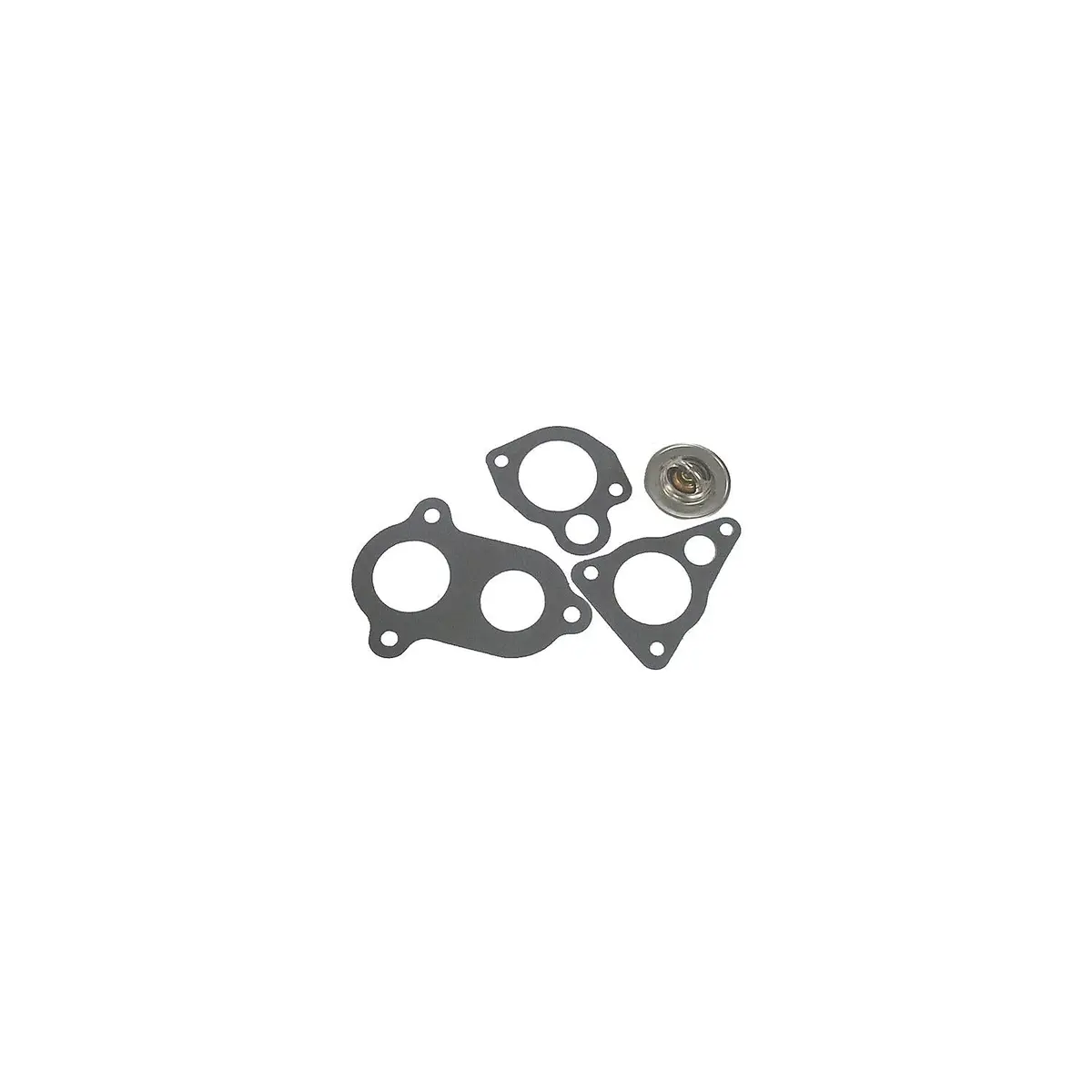 Sierra 18-3671 Thermostat Kit 1