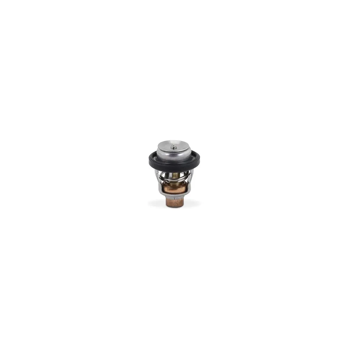 Sierra 18-3684 Suzuki Thermostat Kit 1