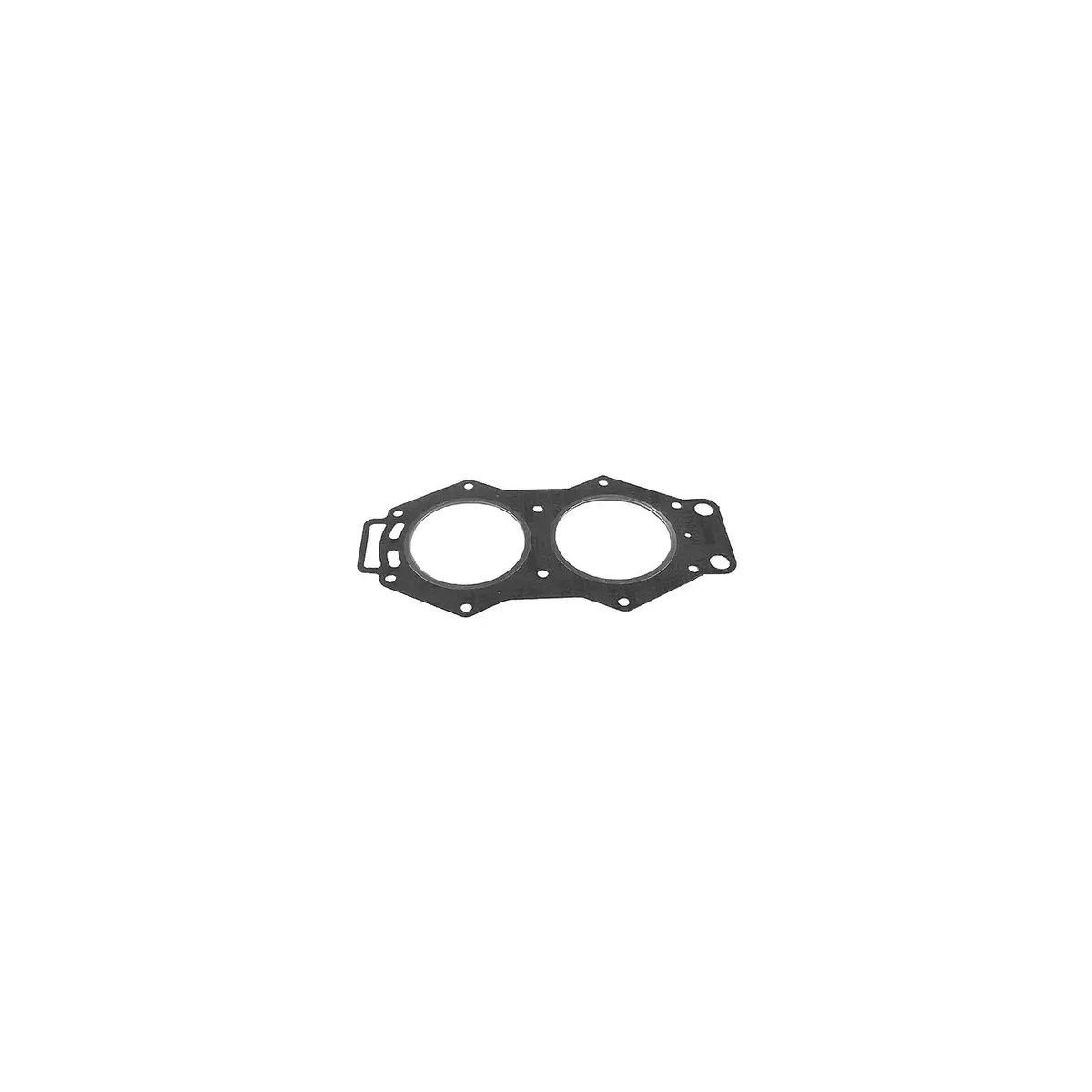Sierra 18-3832 Head Gasket 1