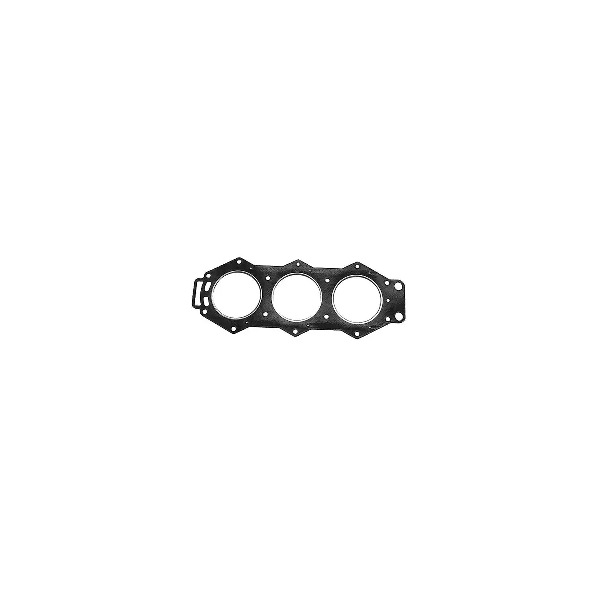 Sierra 18-3894 Head Gasket 1