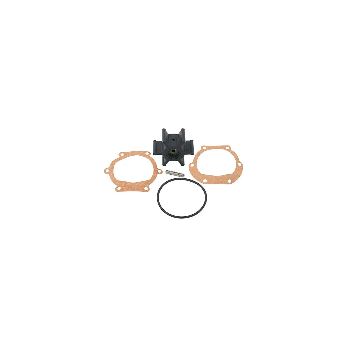 Sierra 18-45713 Impeller 1