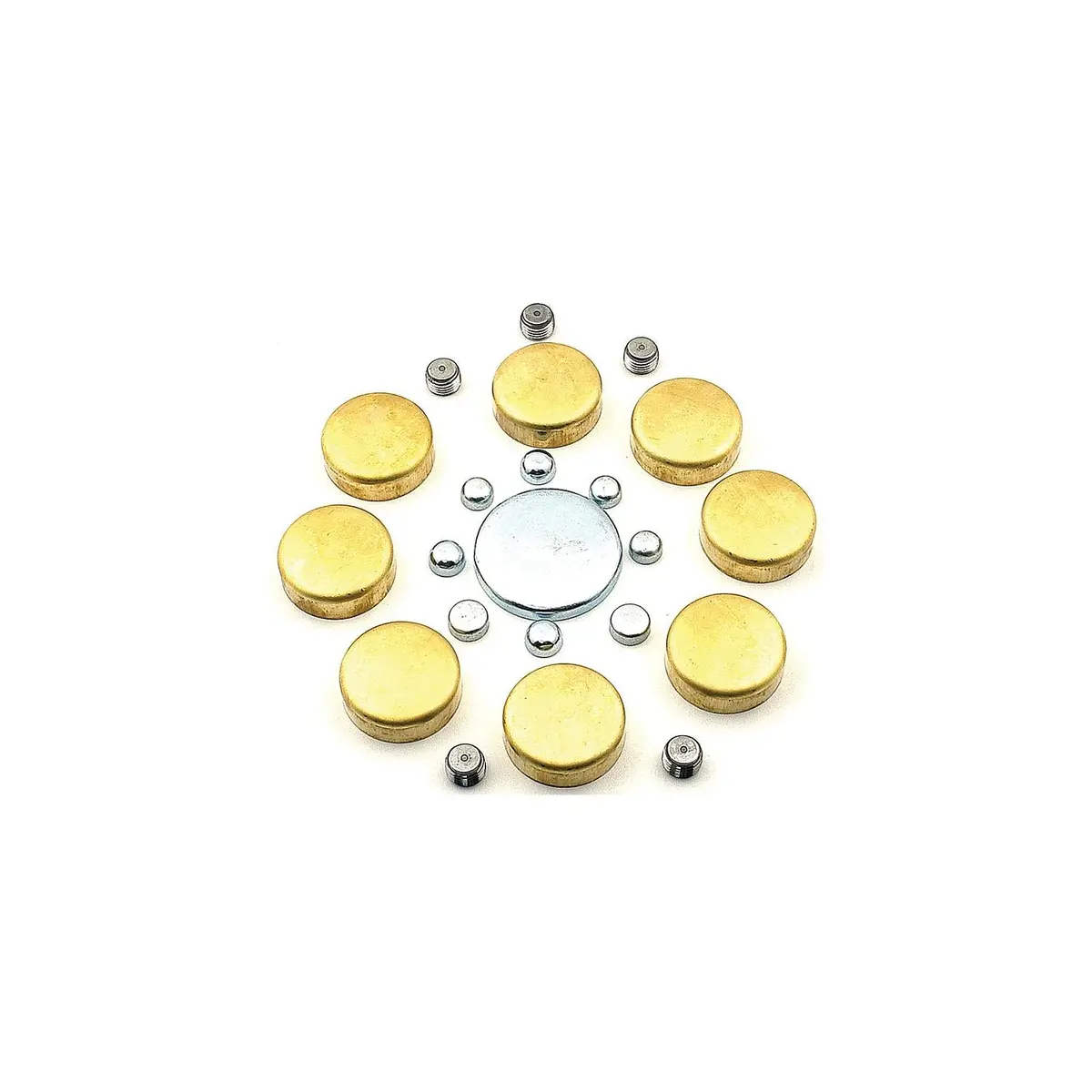 Sierra 18-56481 Brass Freeze Plug Kit 1
