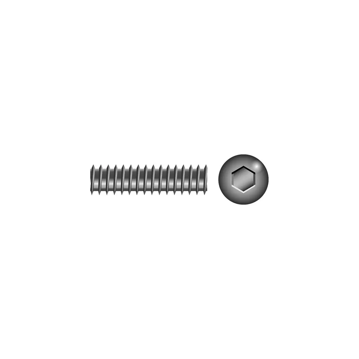 Seachoice Sc1473 Socket Set Screw 1/4"-20 X 1/4" 1
