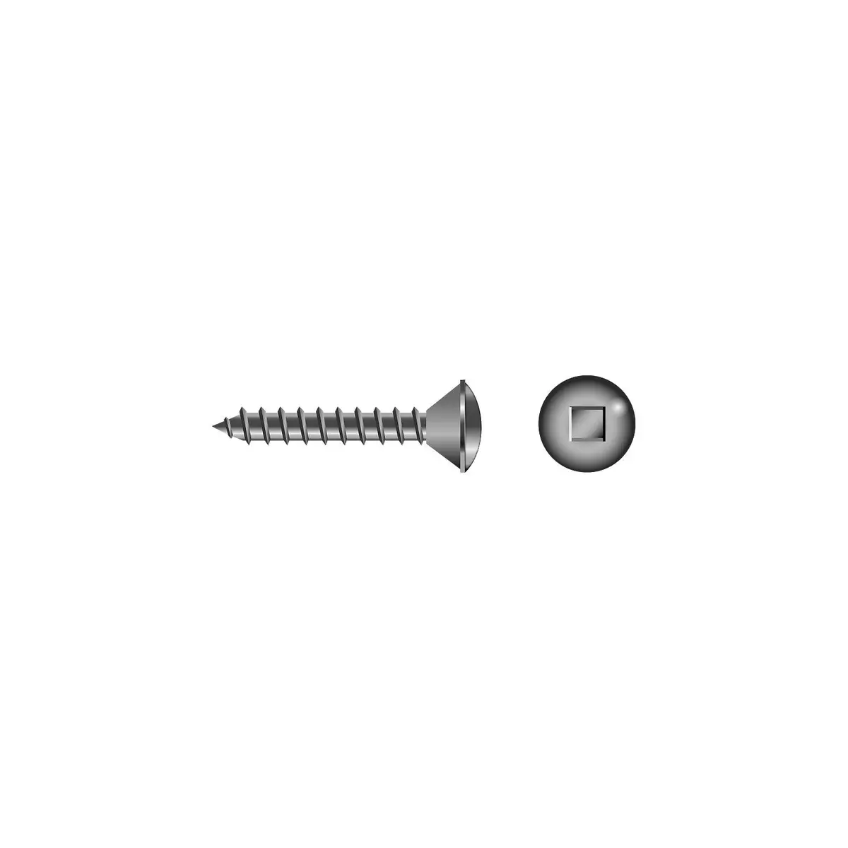 Seachoice Sc3472 Square Tapping Screw Oval Head #10 X 1" 1