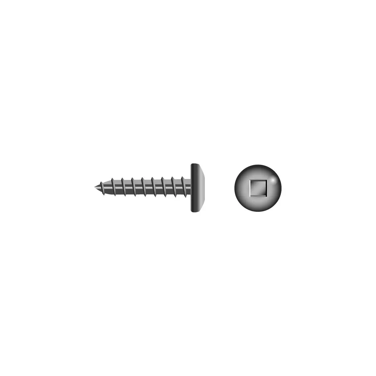 Seachoice Sc5211 Square Tapping Screw Pan Head, #10 X 1-1/2" 1