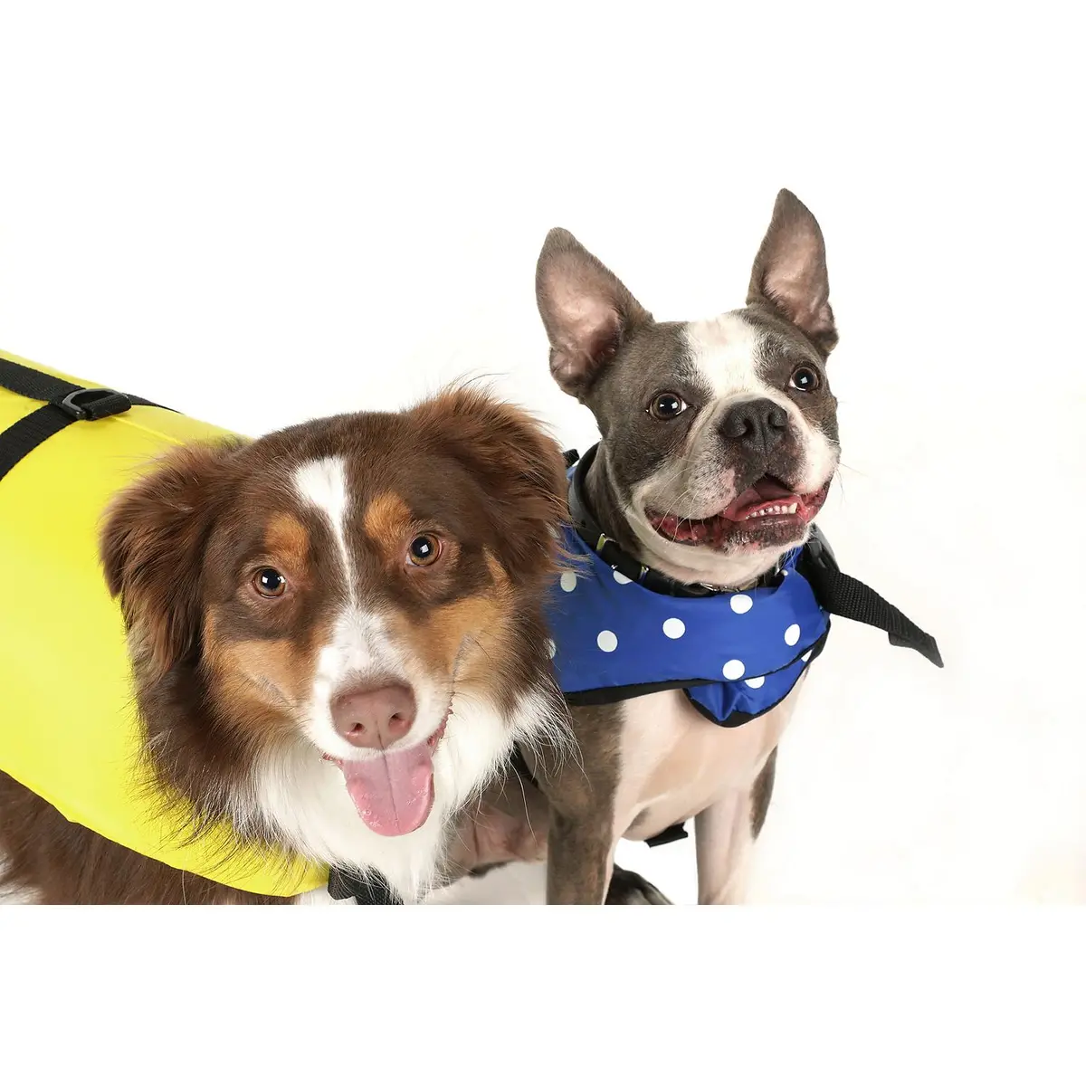Seachoice Dv-Xs-86270 Dog Life Vest Blue Polka Dot, Xs 1