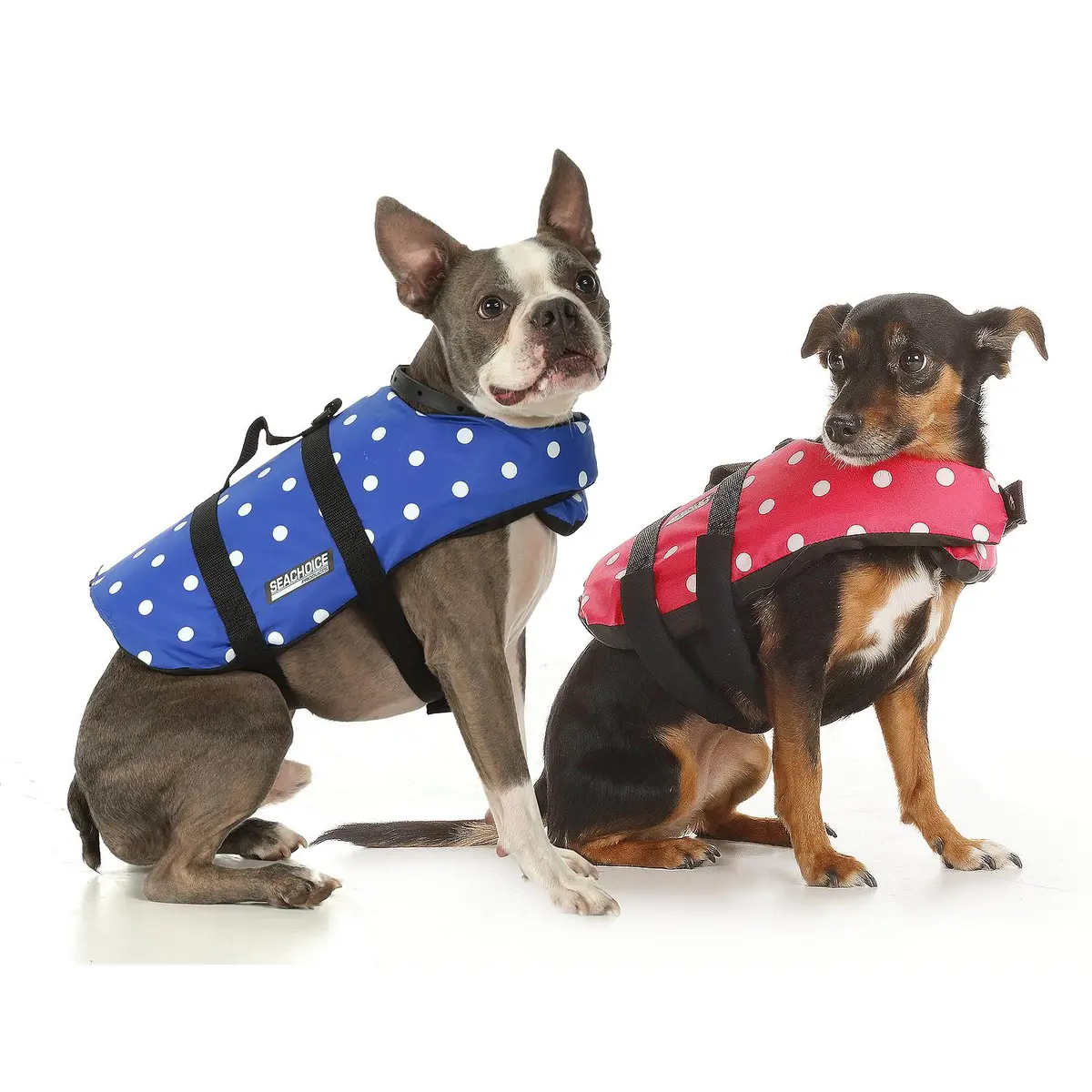 Seachoice Dv-Xs-86370 Dog Life Vest Pink Polka Dot, Xs 2
