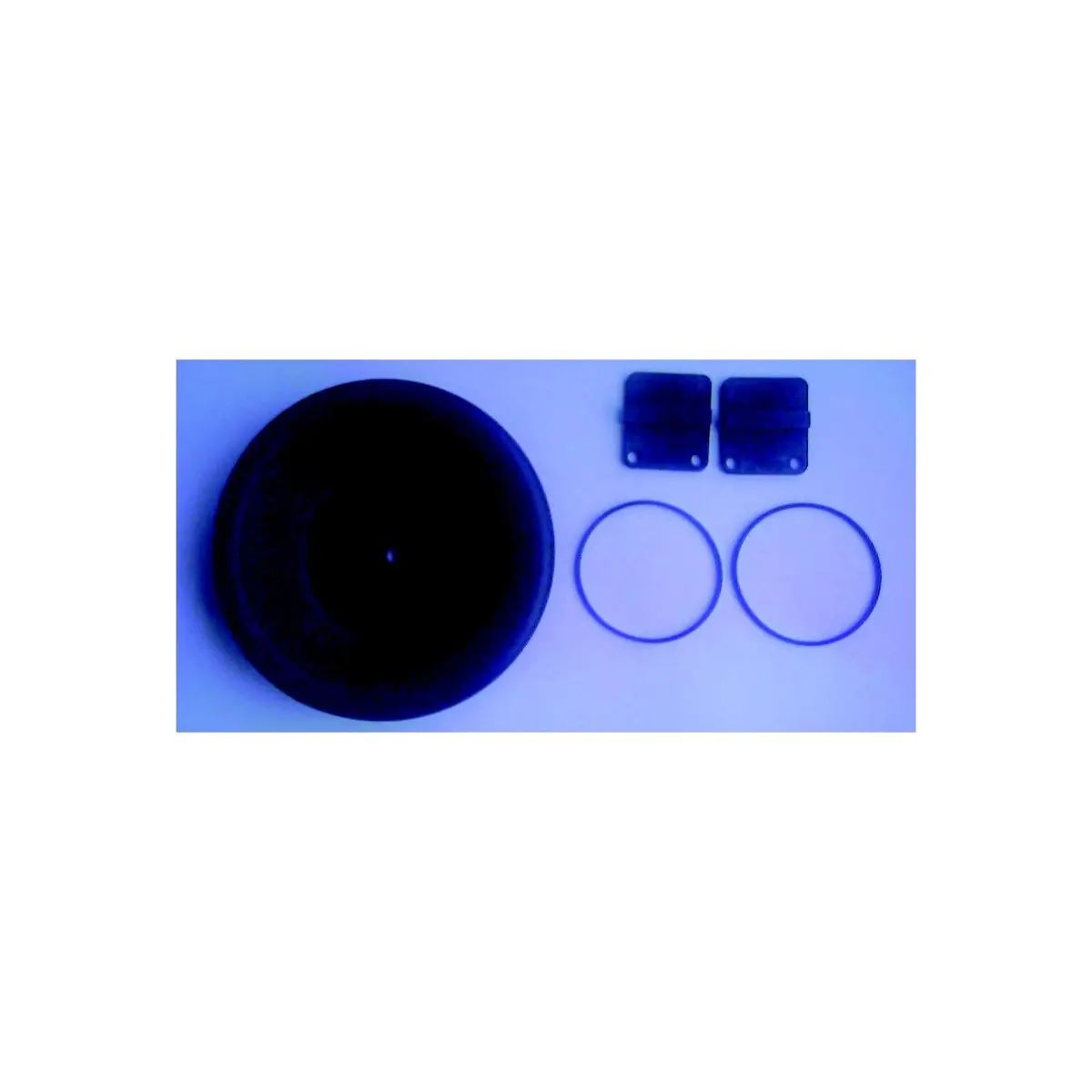 Whale Sk8813 Gusher 8 Service Kit 1