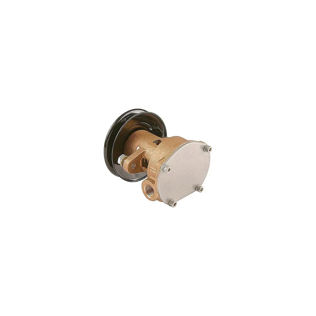 Sherwood G910p Kohler Seawater Pump 1