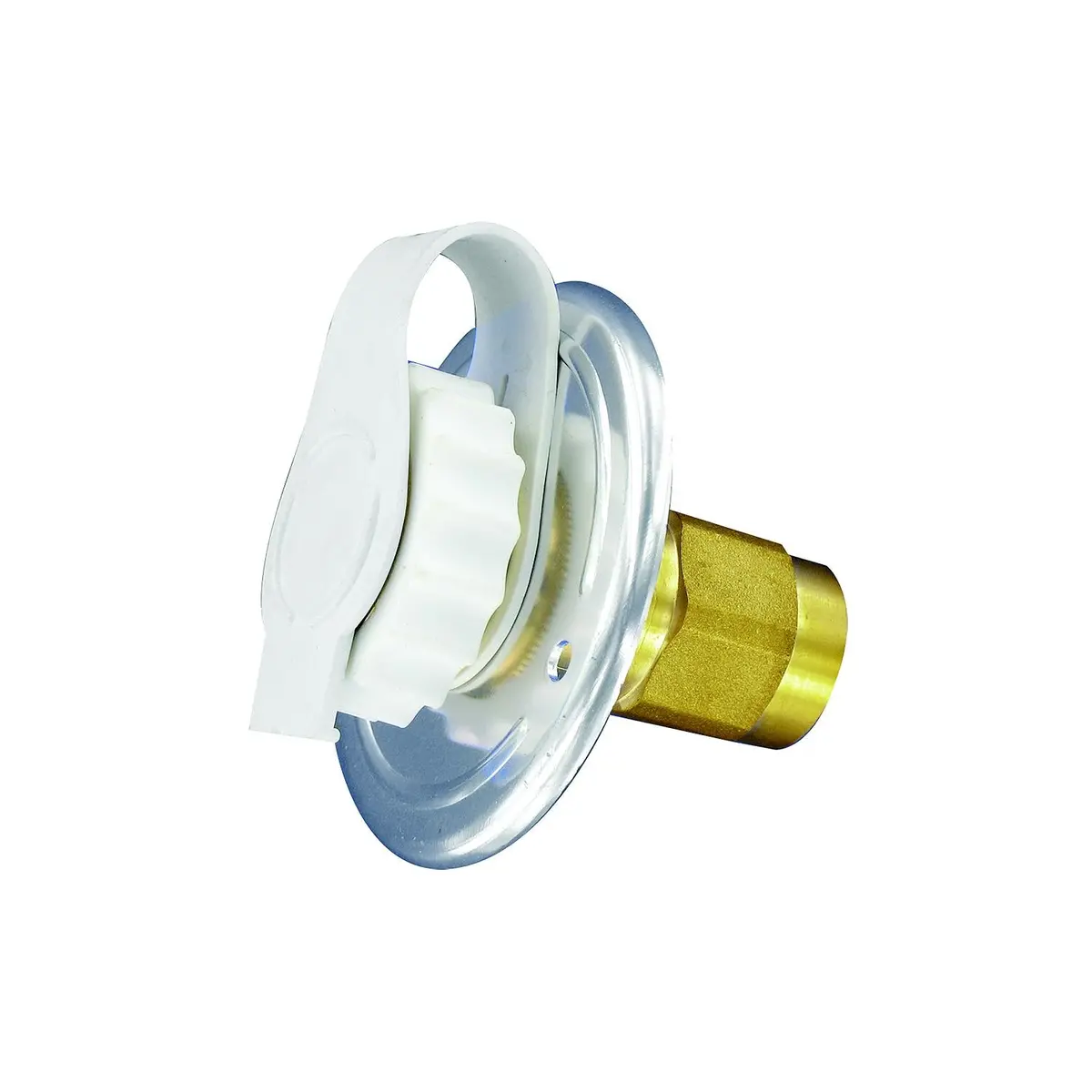 Valterra A01-0172Lfvp Flush Mount Fpt Brass Check Valve, White, W/Screws, Putty Tape & Teflon Tape 1
