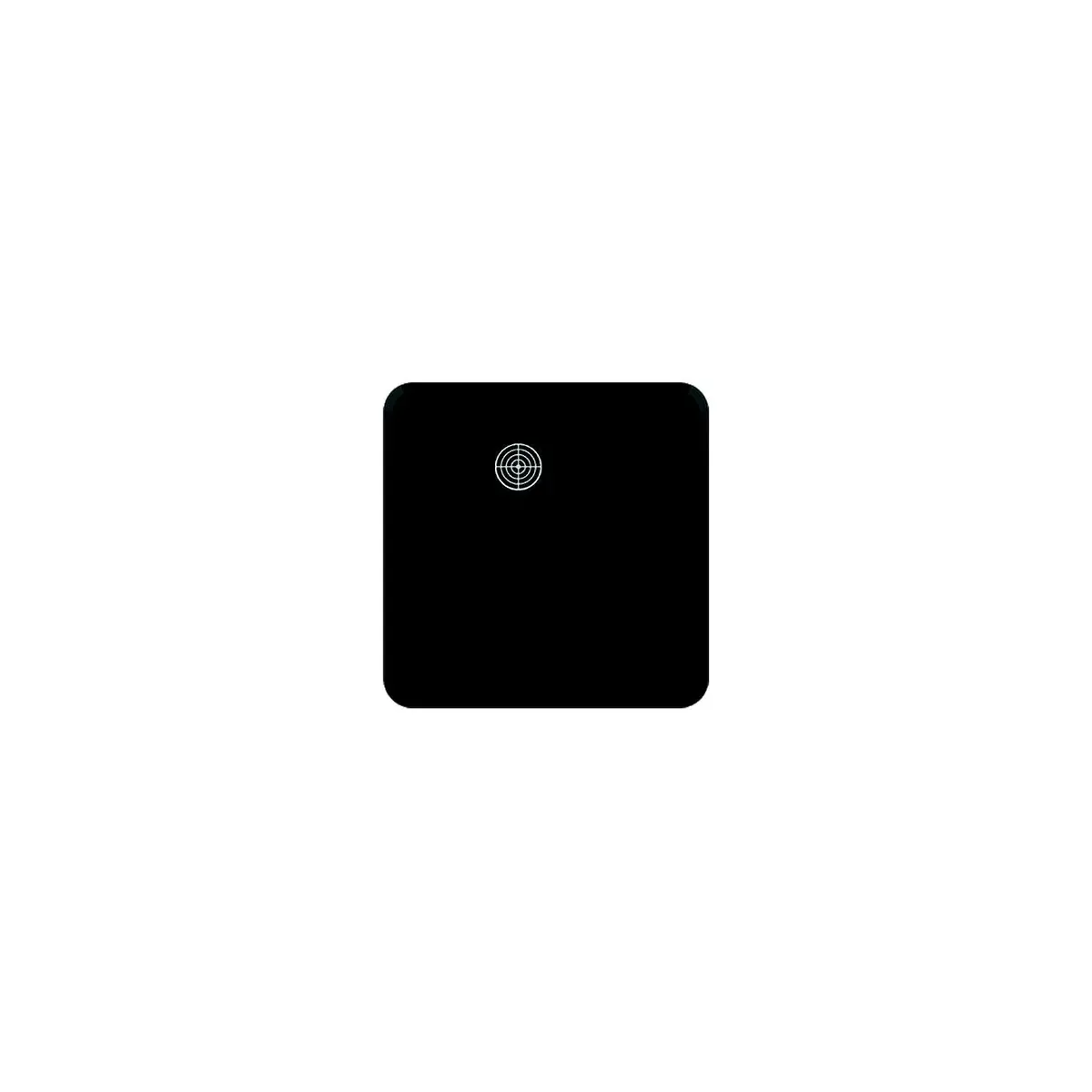 Furrion 2021124010 Retrofit Door Replacement For Tankless Rv Water Heating, System, Black, 16.14" X 16.14" 1