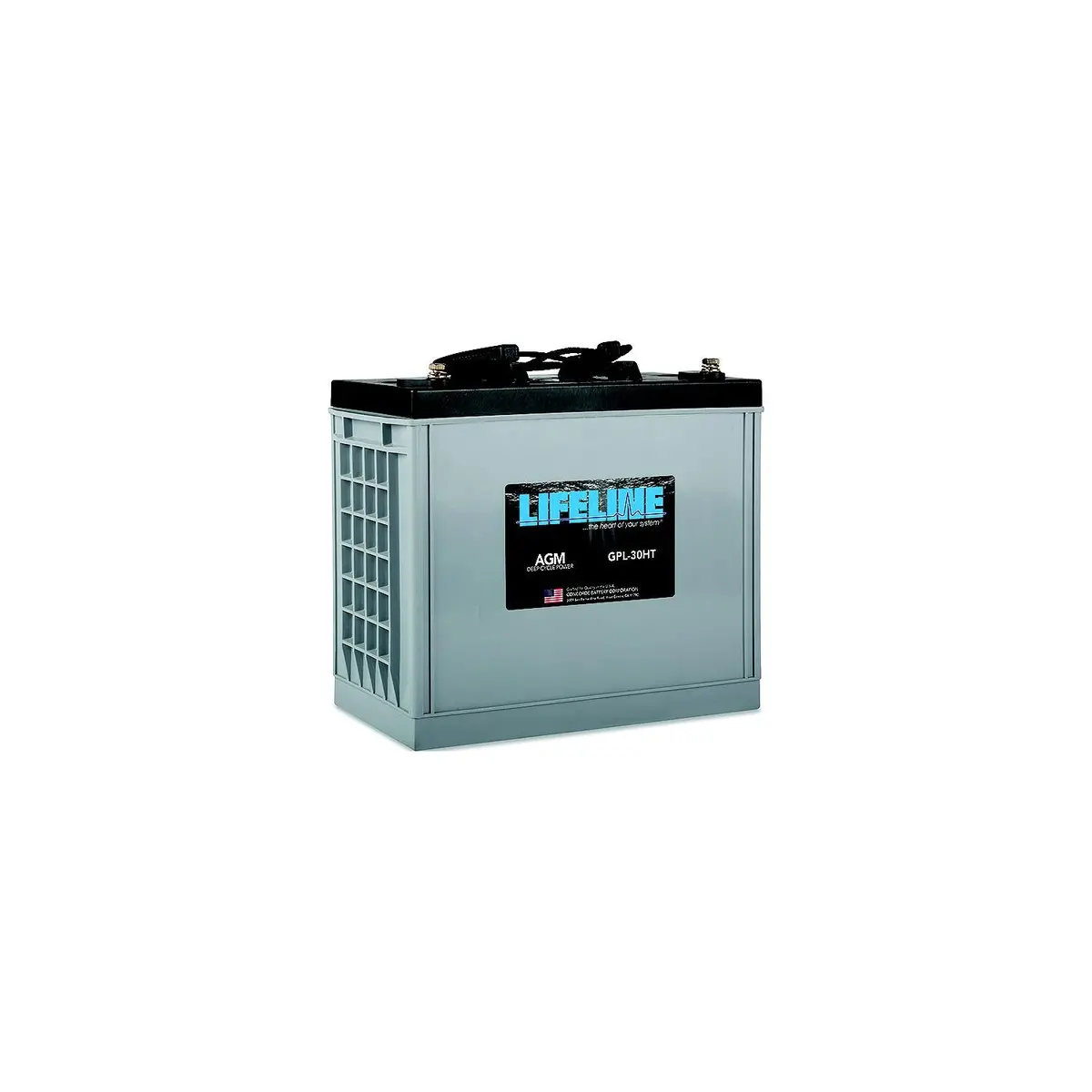 Lifeline Gpl30ht Agm Battery, 12 Volt 1