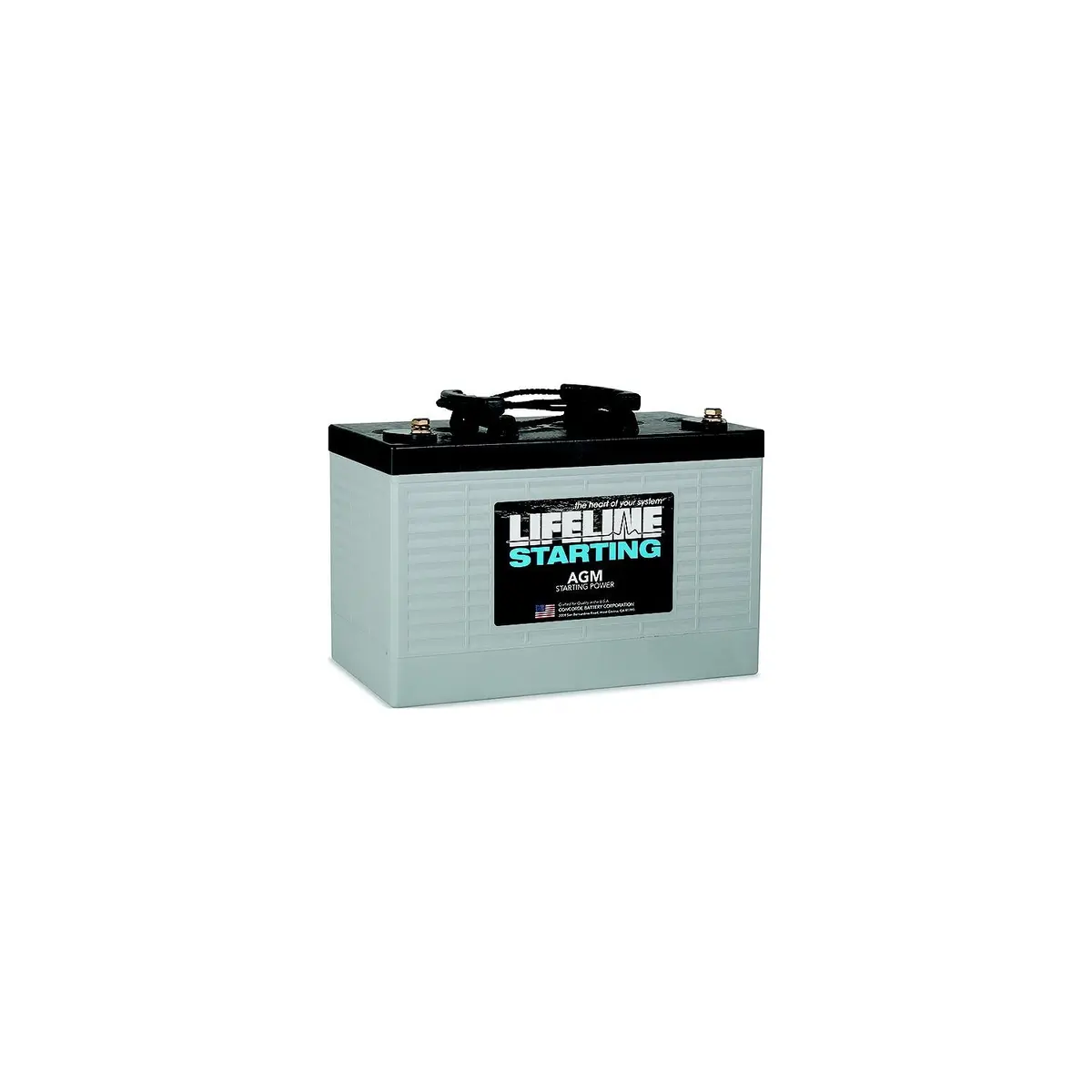 Midstate Battery Gpl-3100T Lifeline Agm Rv/Marine Starting Battery, 12V, Gorup 31 1