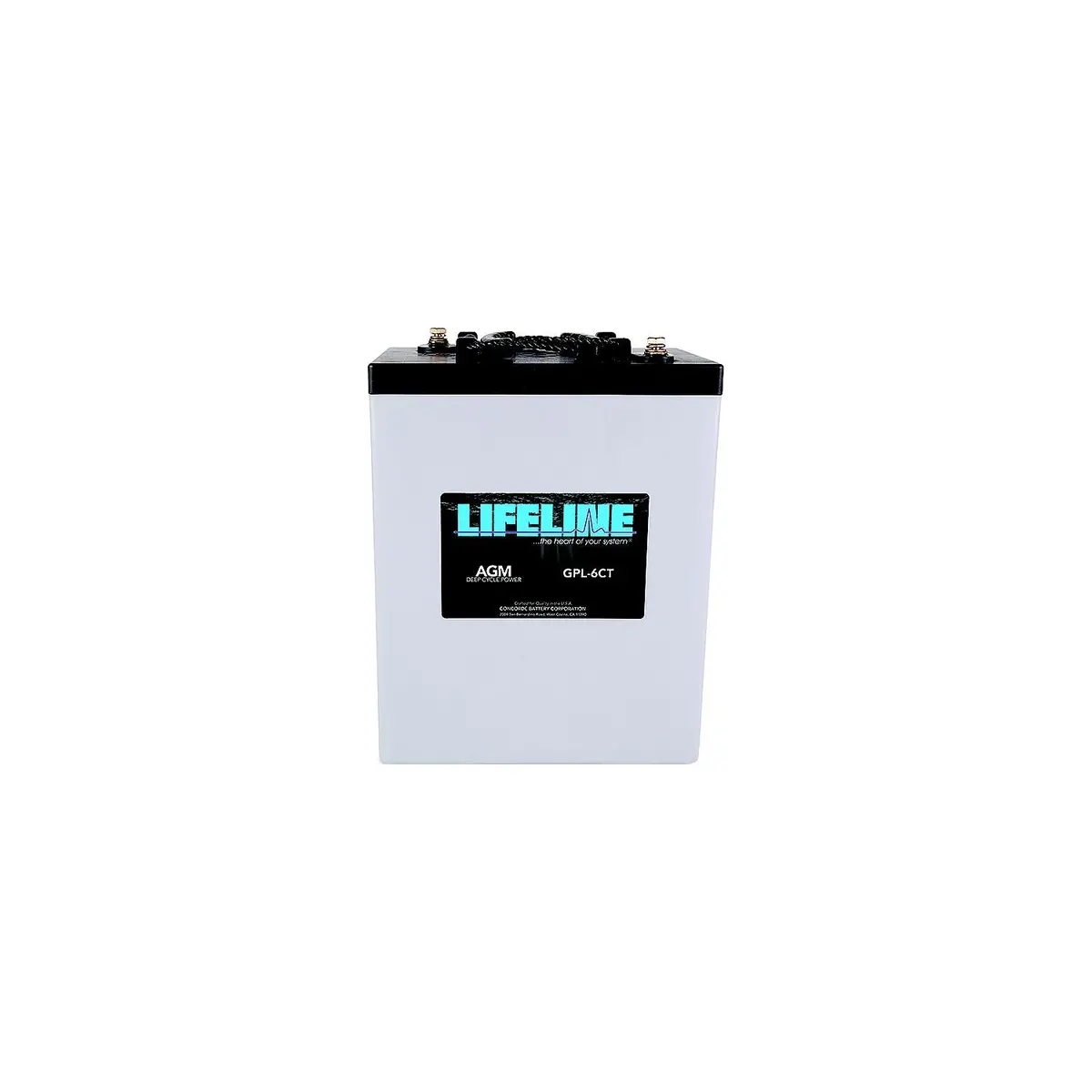 Lifeline Llgpl6ct Agm Battery, 6 Volt 1