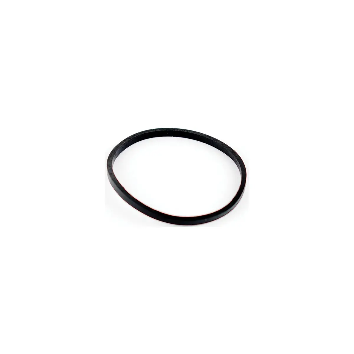 Wsm Performance Parts 006-510-01 Wsm Fuel Filter O-Ring 1