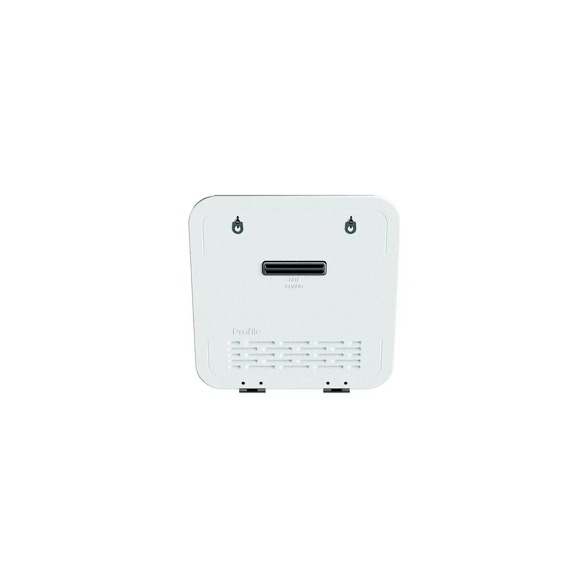 Ge Appliances Pmtwrt Profile White Door For Tankless Gas Water Heater Pr60ptlwbu 1