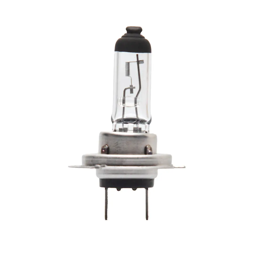 H7 Halogen Bulb 1