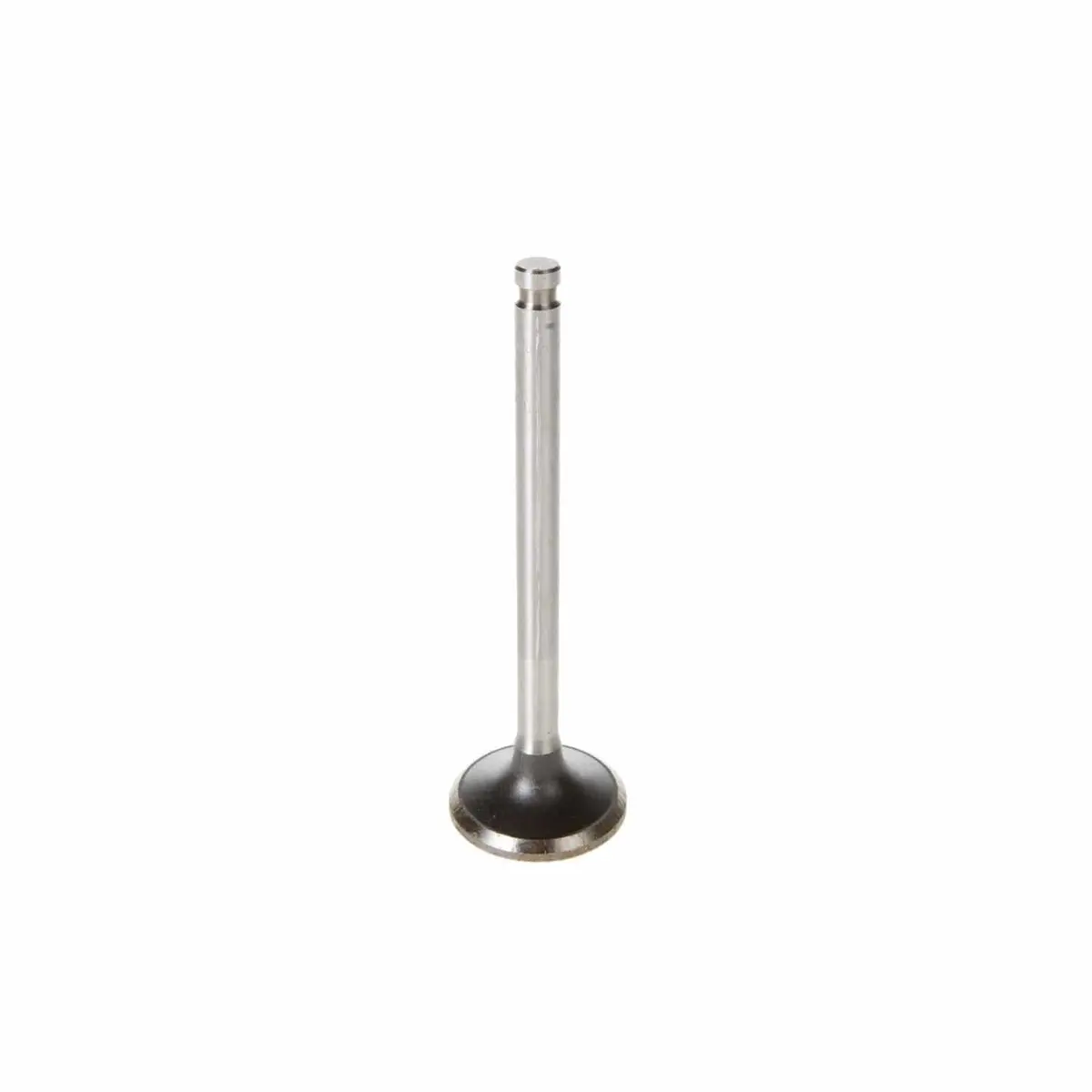 Melling V5064 Performance Valve Set 1